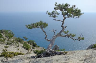 Прикрепленное изображение: н4.jpg